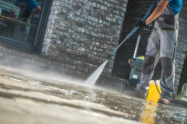 Best Driveway Pressure Washing  in Palmyra, NJ