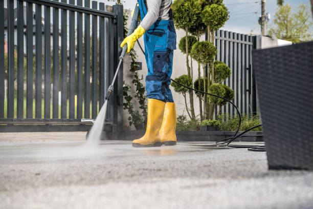Best Sidewalk and Walkway Cleaning  in Palmyra, NJ